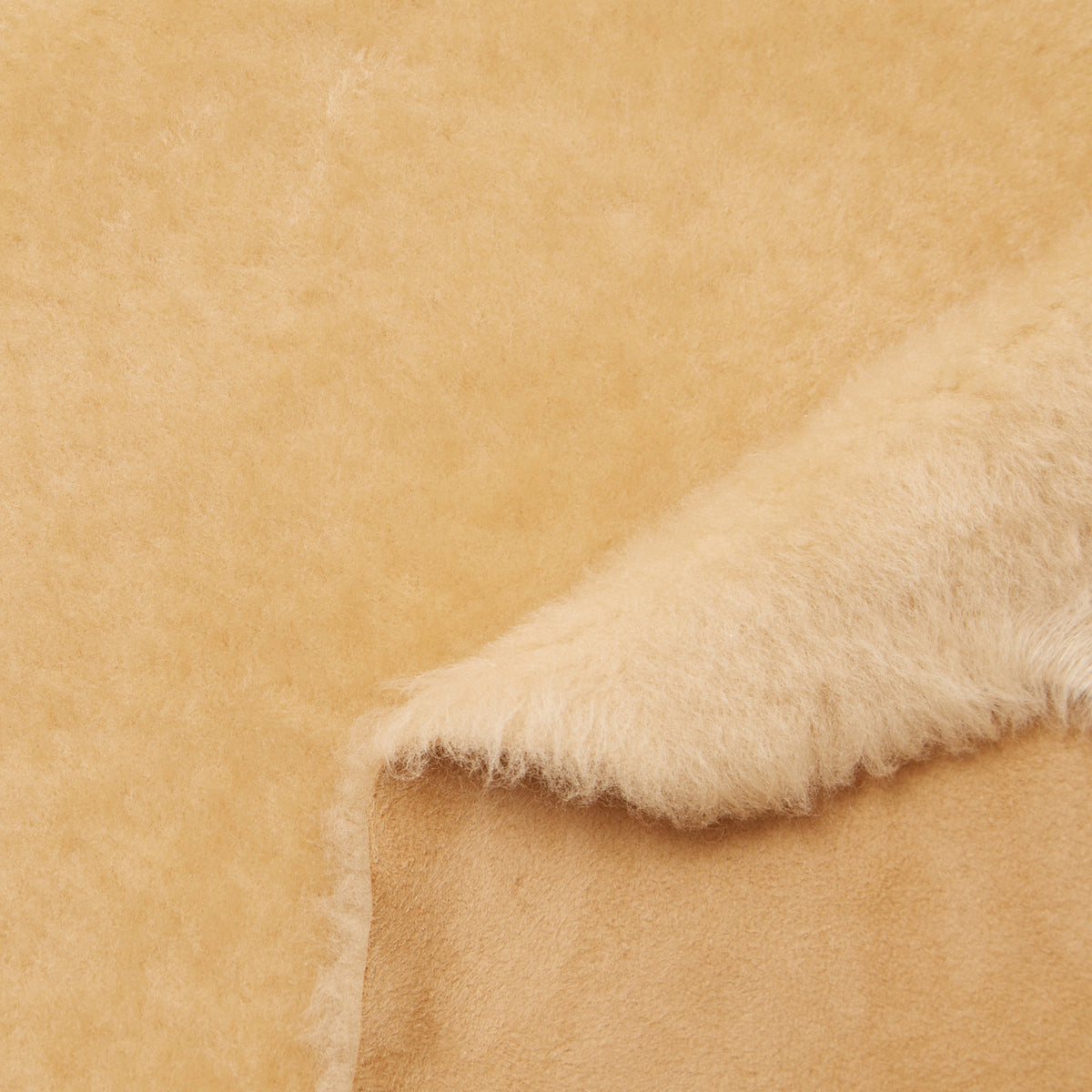 C24CS0179 | Merinos Sheep Shearling