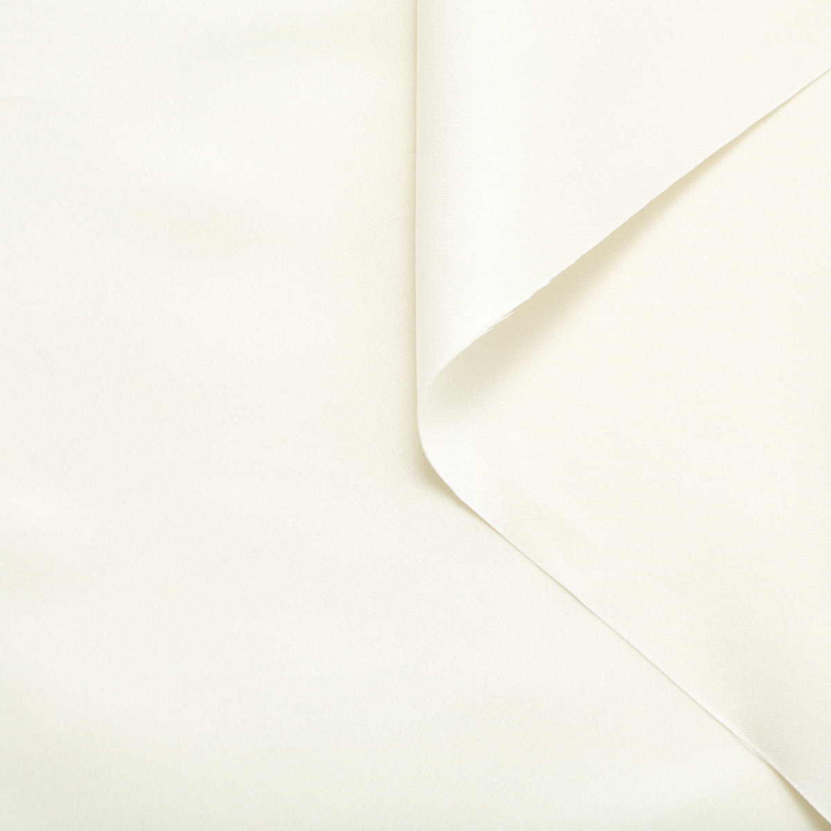 T24V07323 | Stiff Silk Canvas